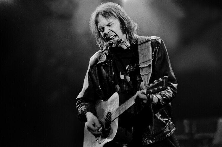 Paul Natkin Fotografie Neil Young Performs At Farm Aid, Paul Natkin, 40 × 26.7 cm