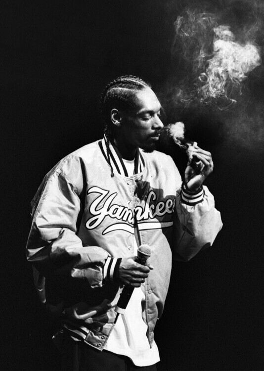 Lex van Rossen/MAI Fotografie Photo of SNOOP DOGG, Lex van Rossen/MAI, 30 × 40 cm