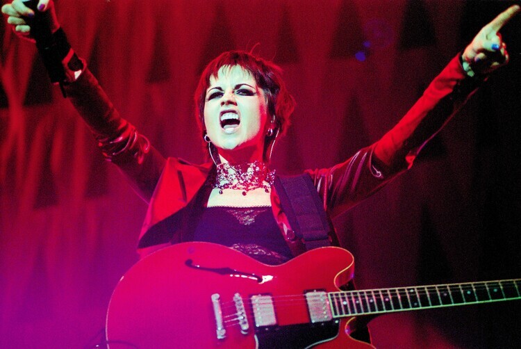 Peter Pakvis Fotografie Photo of CRANBERRIES, Peter Pakvis, 40 × 26.7 cm