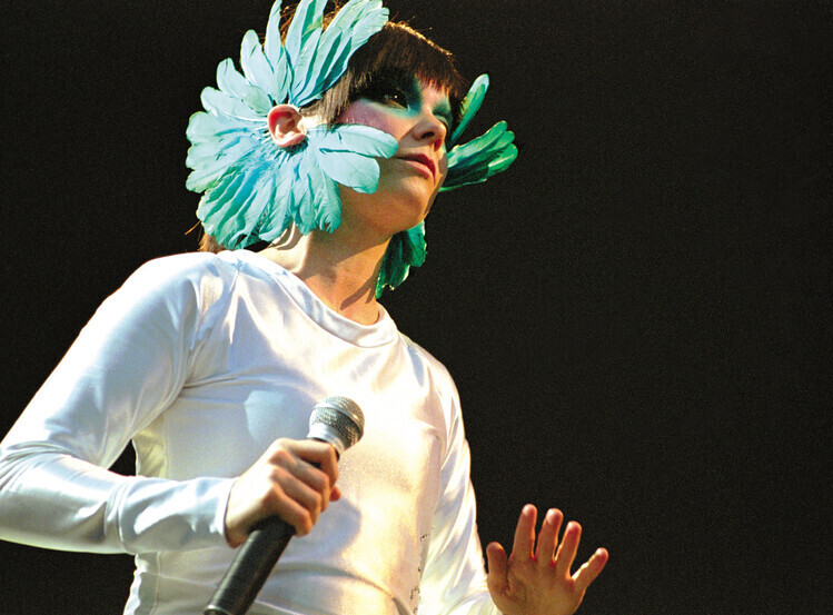 Peter Pakvis Fotografie Photo of BJORK, Peter Pakvis, 40 × 30 cm