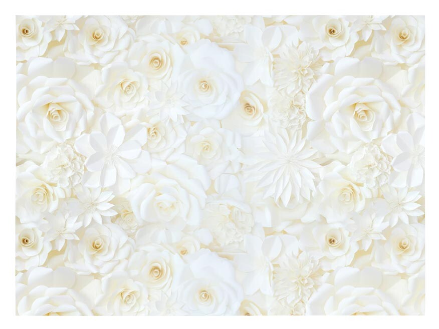 MFP 5811902 Balicí papír K352 100x70 LUX