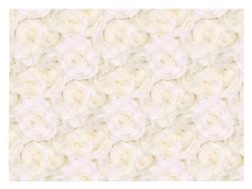 MFP 5811898 Balicí papír K348 100x70 LUX