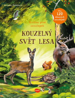 Kouzelný svět lesa - Kniha samolepek