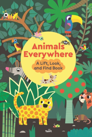 Animals Everywhere: A Lift, Look, and Find Book - Stephanie Babin