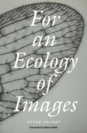 For an Ecology of Images -  (Szendy Peter)(Paperback)