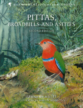 PITTAS AND BROADBILLS -  (LAMBERT FRANK)(Pevná vazba)