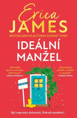Ideální manžel - Erica James