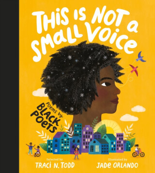 This Is Not A Small Voice - Traci N. Todd