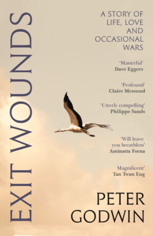 Exit Wounds - Peter Godwin