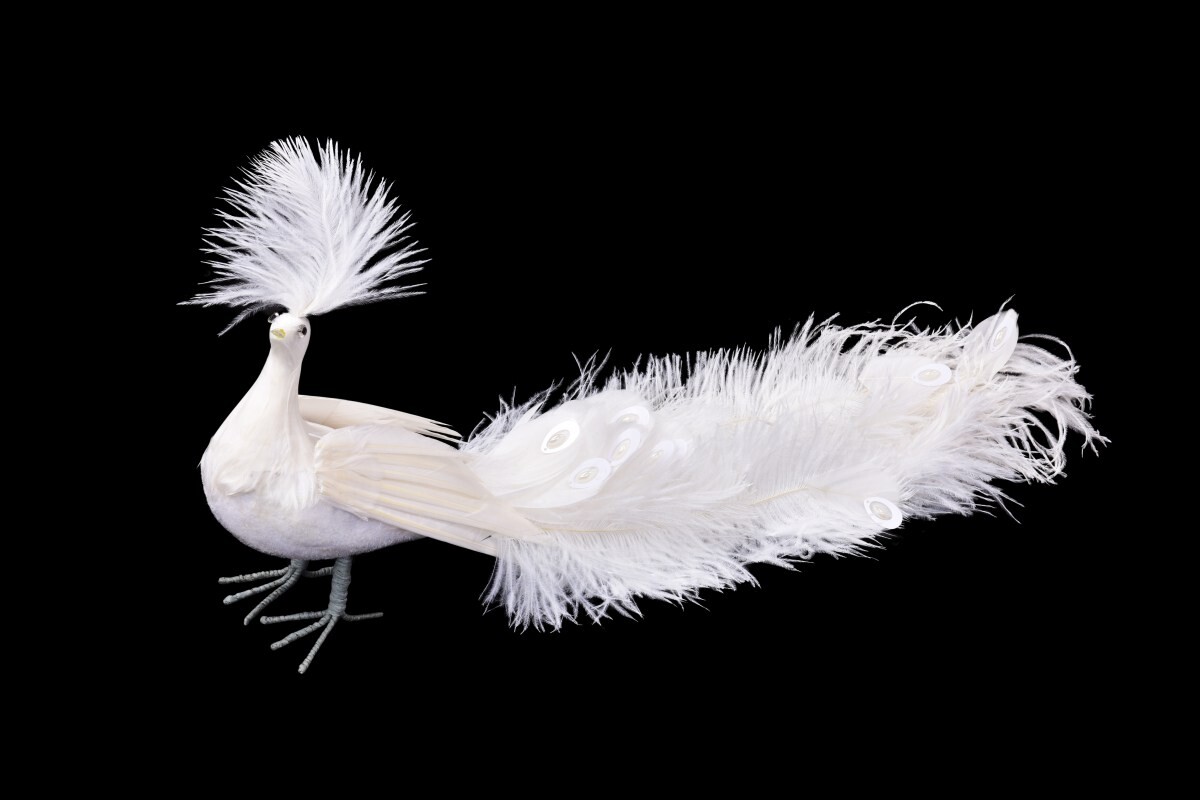 Bílý páv s perličkovým chvostem | opulentní dekorace s peřím a flitry | 50 cm