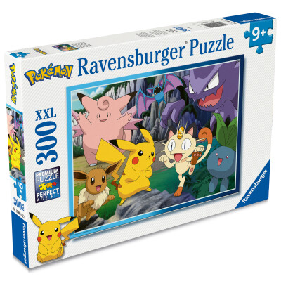 Puzzle 2D Svět Pokémonů 300 dílků