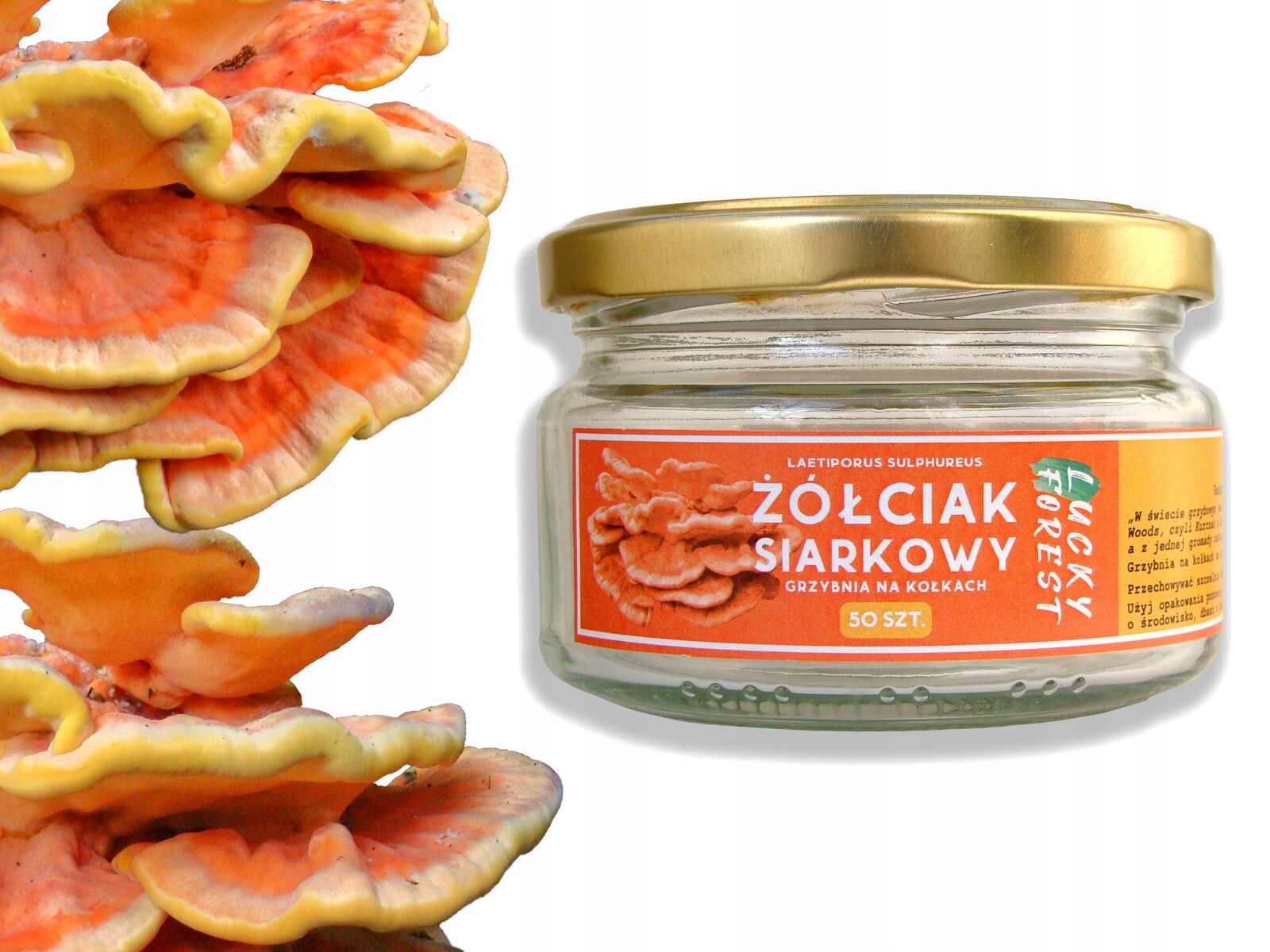 Žlučák Sírový Kuřecí maso Podhoubí na kolíkách 50 ks Lucky Forest Eko Eco