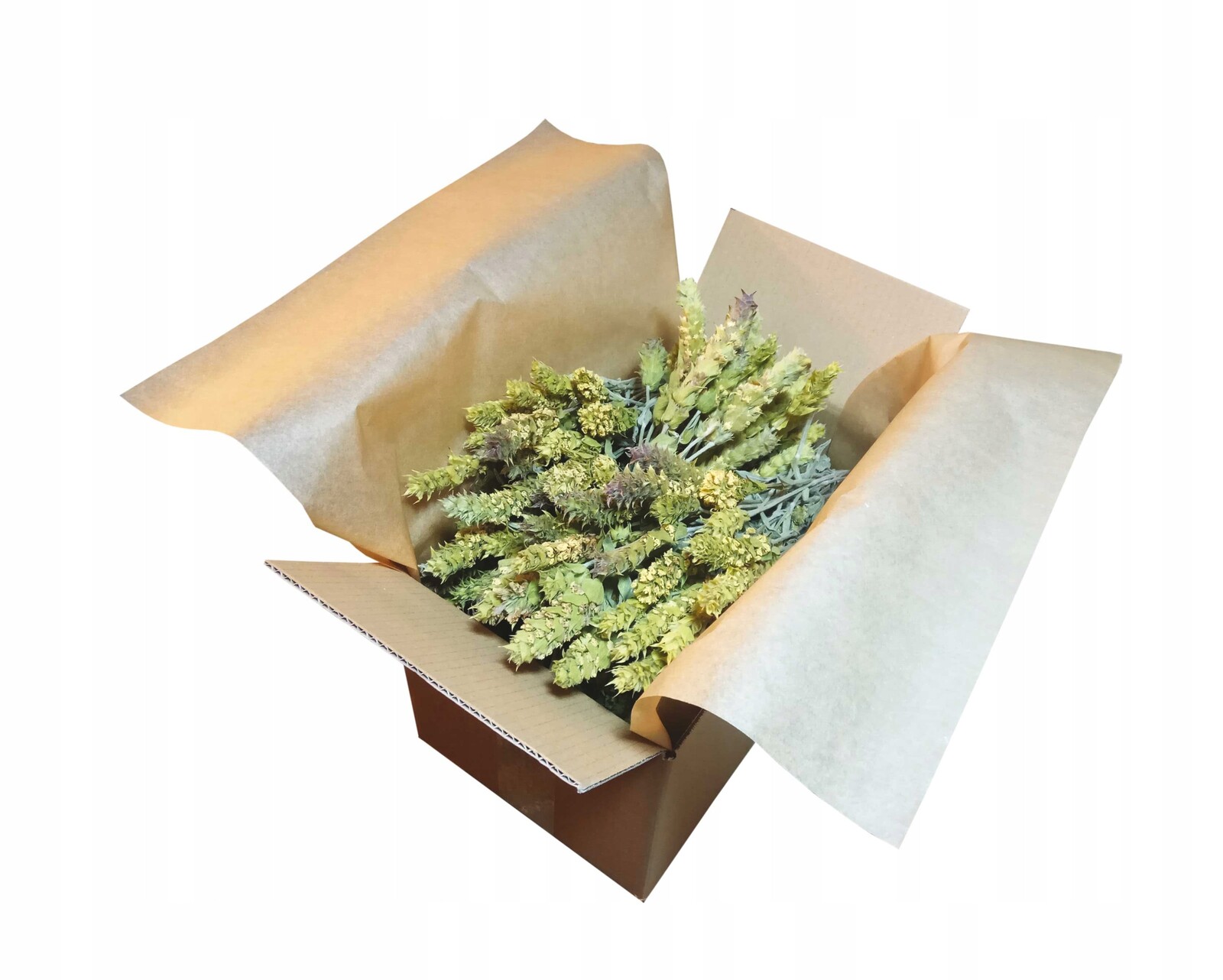 Řecký hojník Olimp scardica celé klasy 300g volný