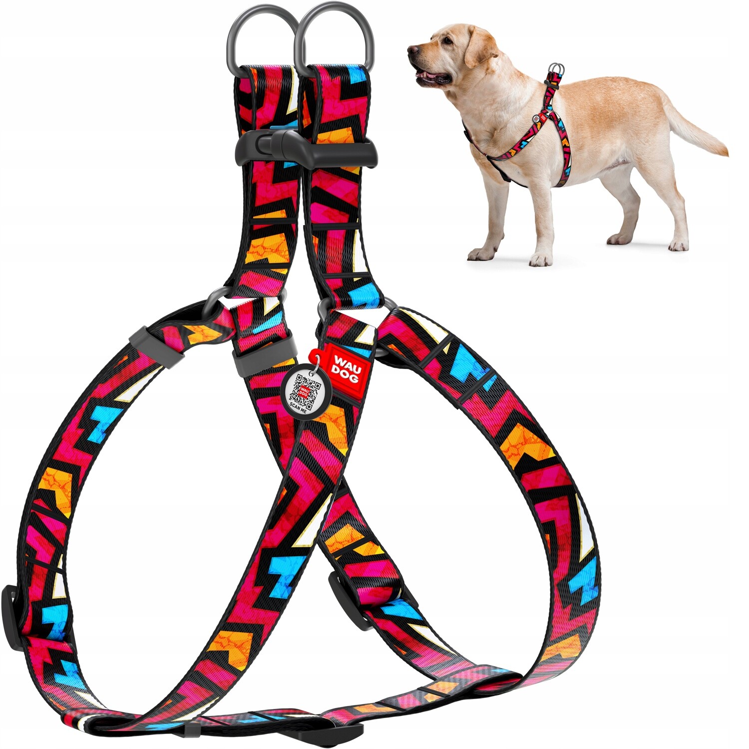 Postroj pro psa, obrázek Graffiti, 60-90 cm, 25 mm