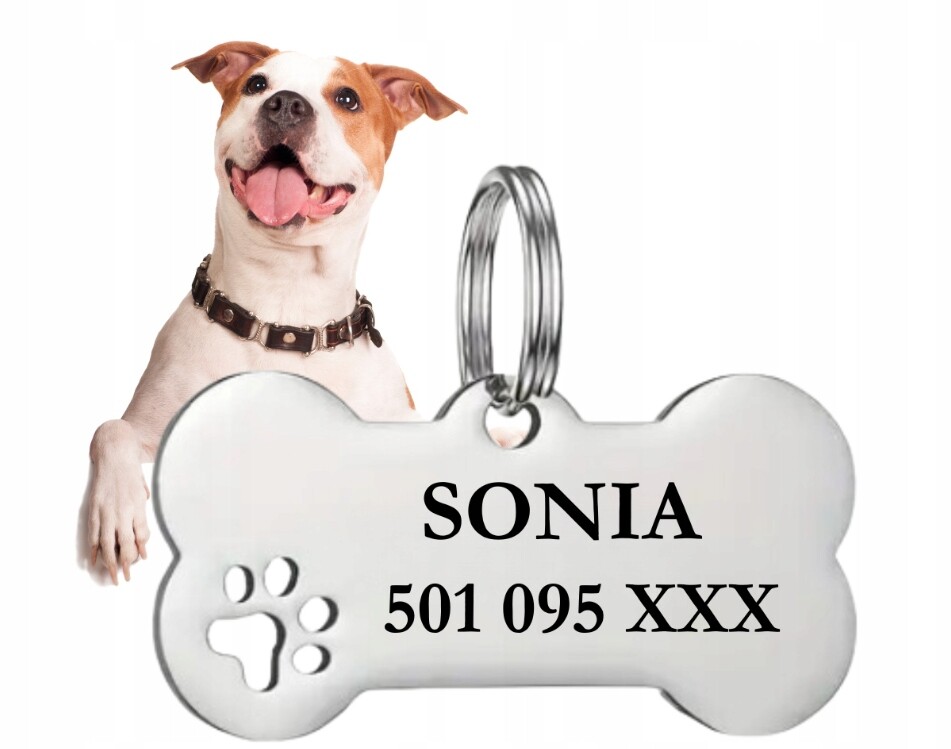 Identifikátor Adresáře pro psa nebo Gravírování Kosti Nerezová Ocel