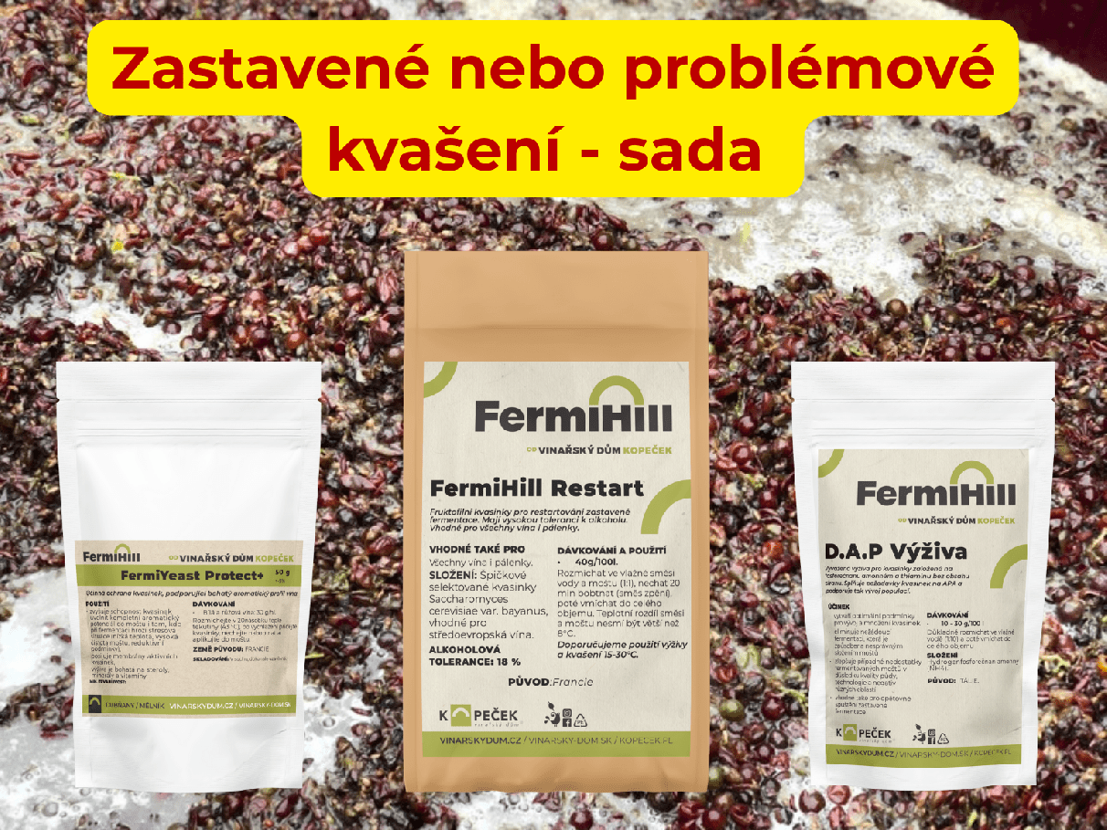 Sada Zastavené / problémové kvašení