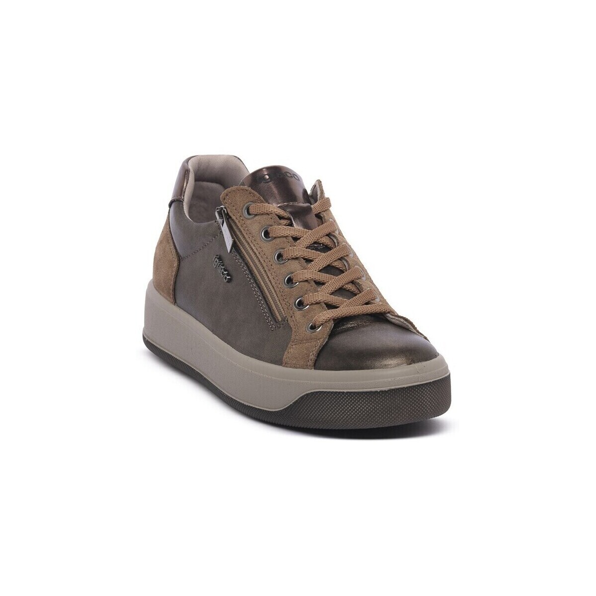 IgI&CO  8669833  ruznobarevne