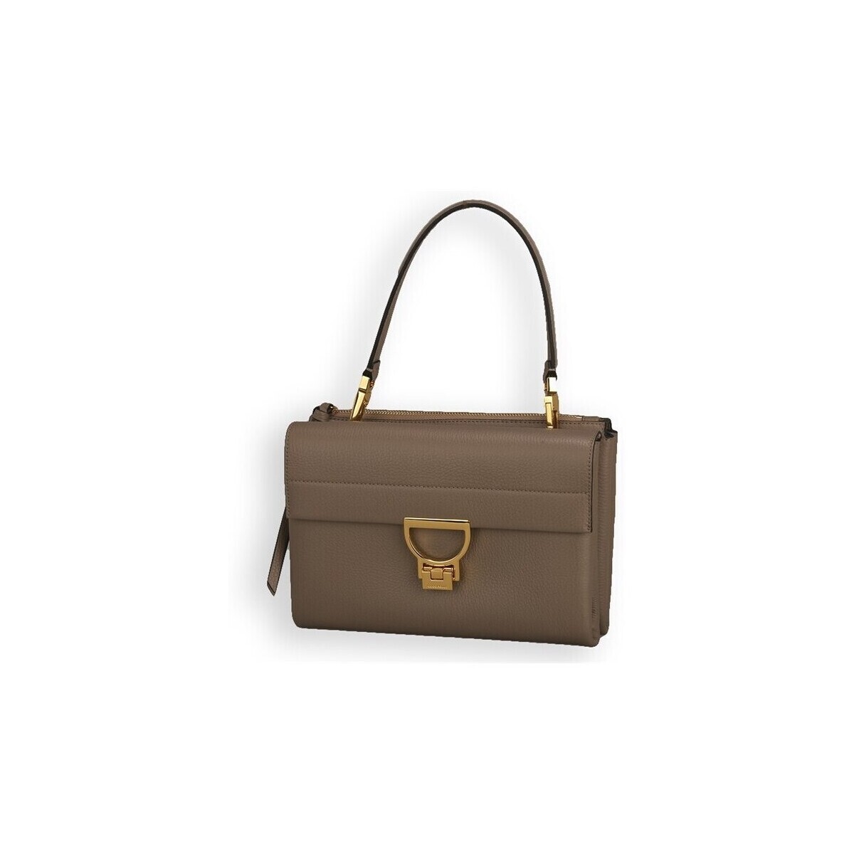 Coccinelle  Arlettis  Hnědá