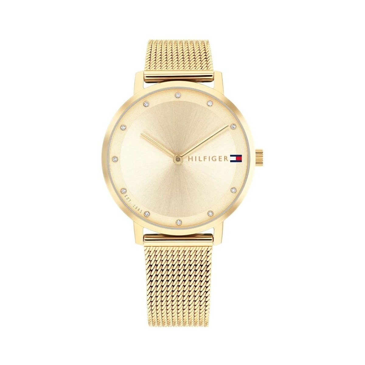Tommy Hilfiger  ty556270  Zlatá