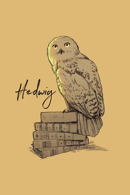 Europosters Umělecký tisk Harry Potter - Hedwig, 26.7 × 40 cm