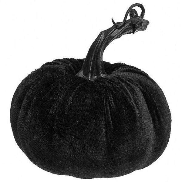 Dýně sametová černá 10 cm