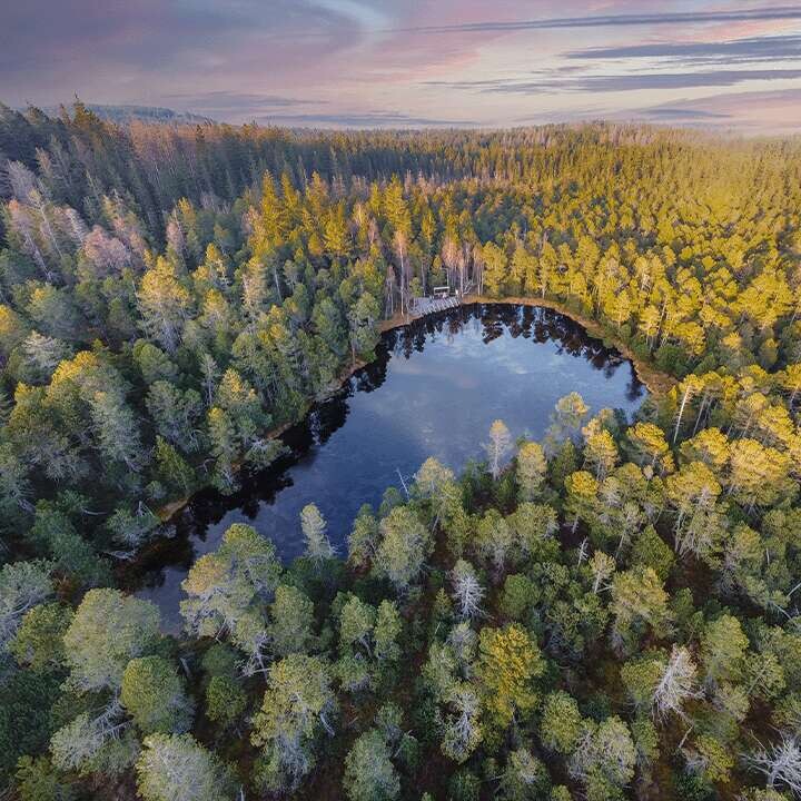 Základy létání s drony, aneb co byste měli vědět před prvním startem a první ostrý start!