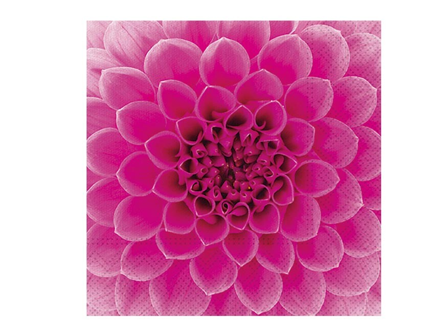 MFP 2011175 Ubrousek P 33x33 celorok SDL896013