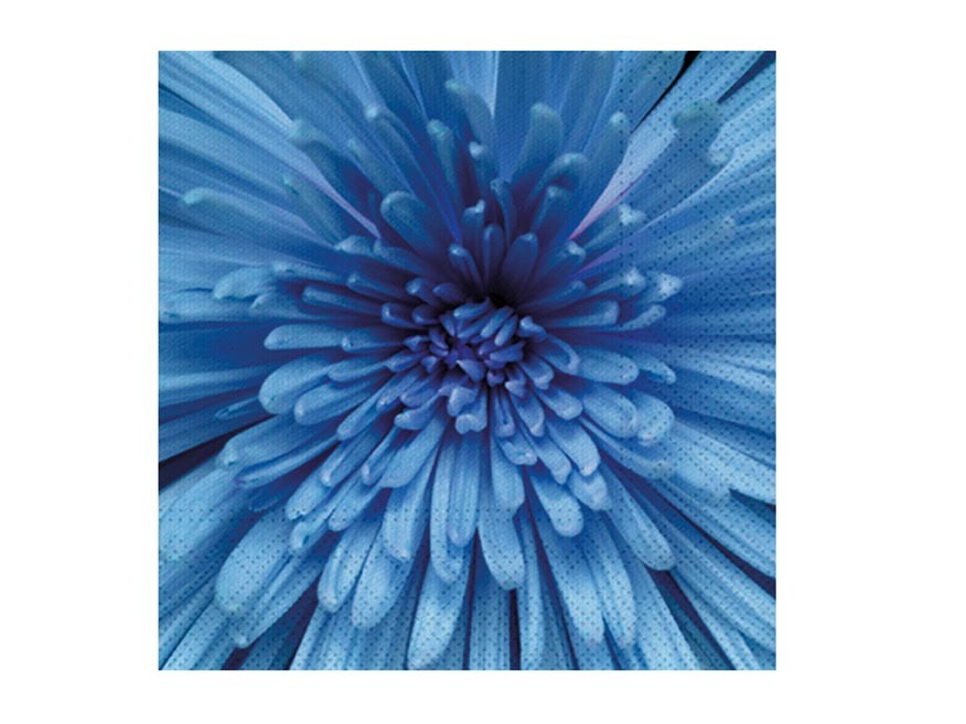 MFP 2011176 Ubrousek P 33x33 celorok SDL897005