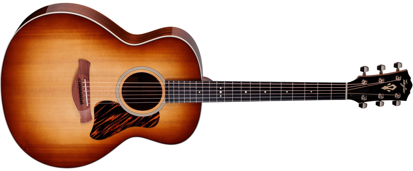 Taylor Gold Label 514e FS SB