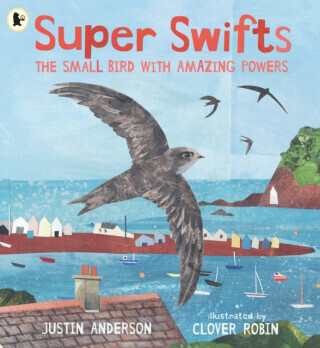 Super Swifts: The Small Bird With Amazing Powers -  (Anderson Justin)(Paperback / softback)