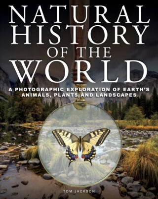 Natural History of the World - Tom Jackson