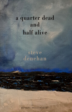 A Quarter Dead and Half Alive - Steve Denehan