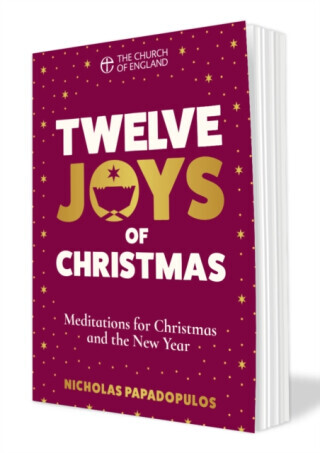 Twelve Joys of Christmas pack of 10 - Nicholas Papadopulos