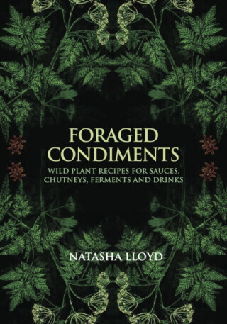 Foraged Condiments - Natasha Lloyd