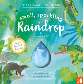 Small, Sparkling Raindrop - Mary Auld