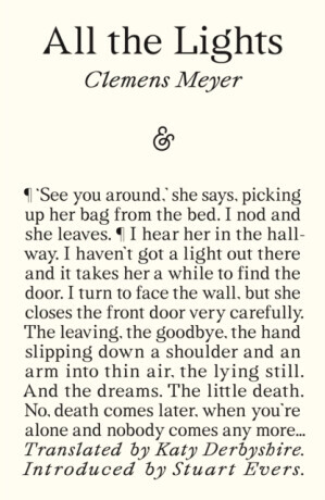 All The Lights - Clemens Meyer