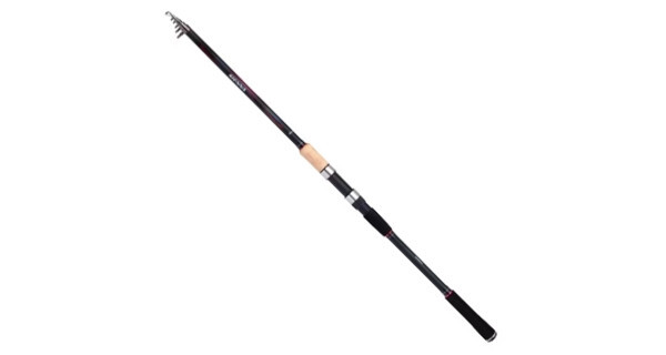 Shimano Sienna AR TE GT Glued 2,70m / 10-30g