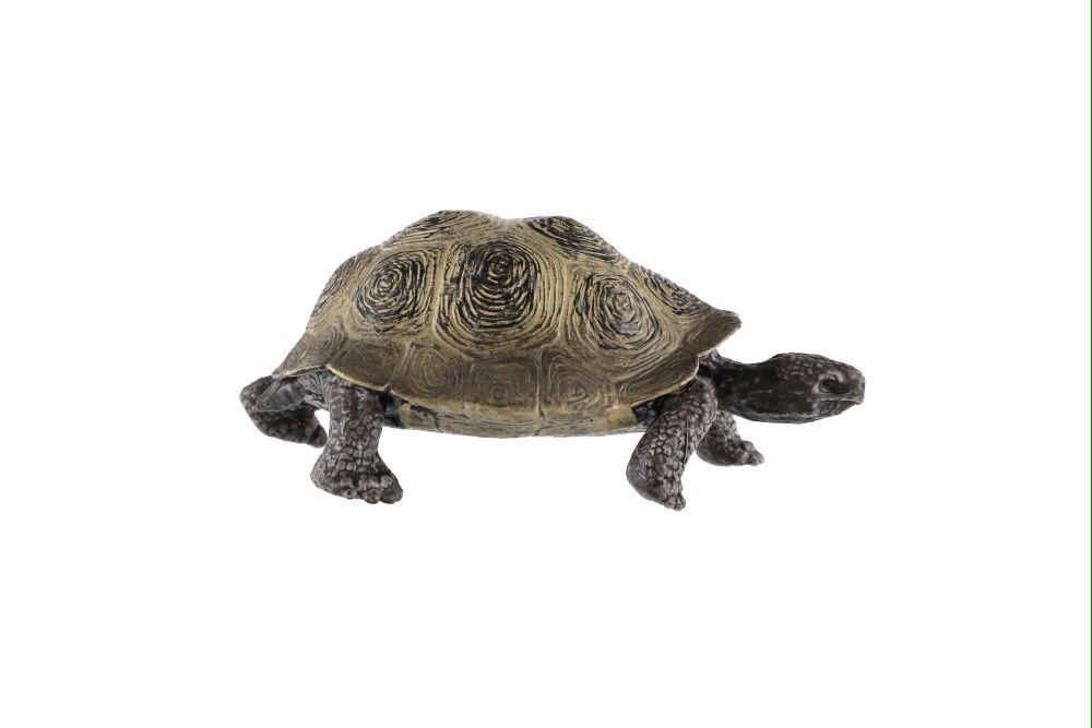 Teddies Želva sloní zooted 8cm