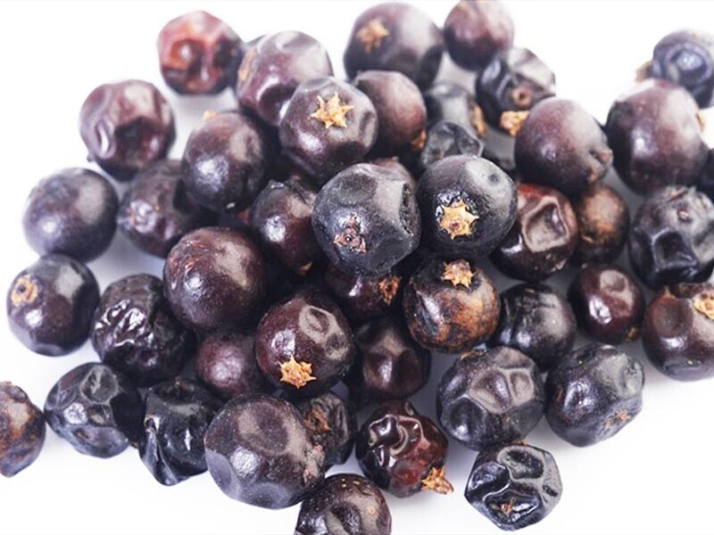 Jalovec Celý Ovoce 2 Kg Jalovcové Bobule Velkoobchod Loď