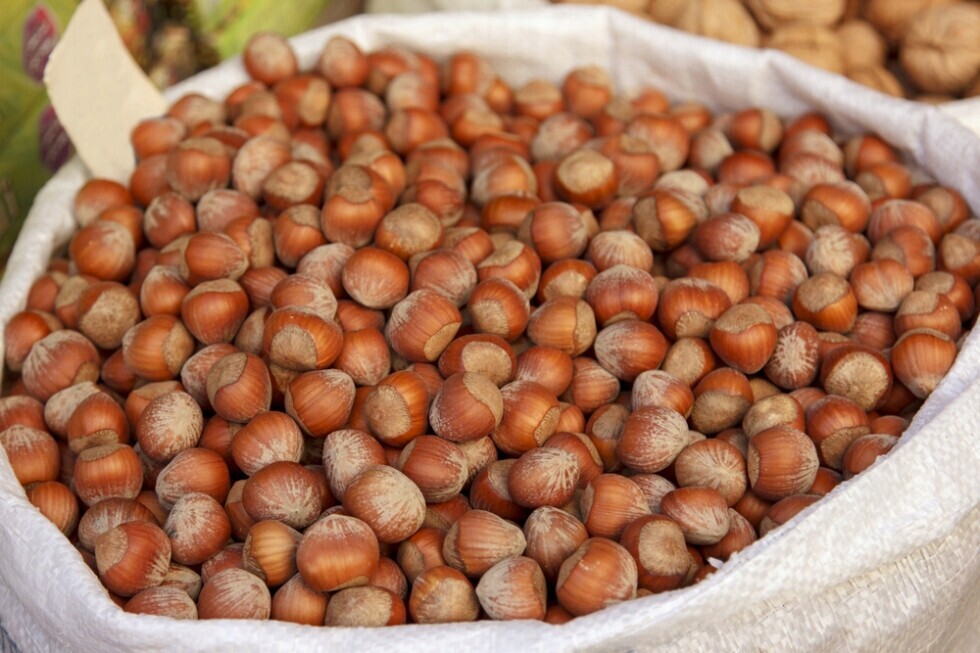 Čerstvé Lískové Ořechy Ve Skořápce 5 Kg Katalánské Polské 2025