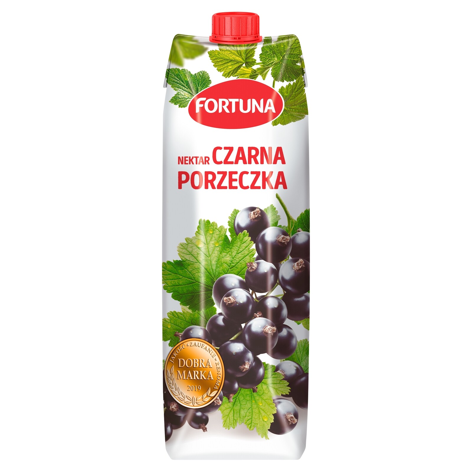 Fortuna Nektar černý rybíz 6x1 l
