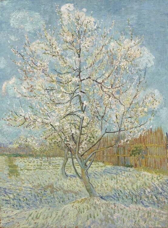 Vincent van Gogh Obrazová reprodukce The Pink Peach Tree, 1888, Vincent van Gogh, 30 × 40 cm