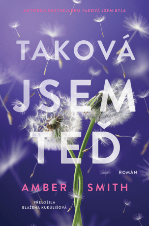 Taková jsem teď - Amber Smith - e-kniha