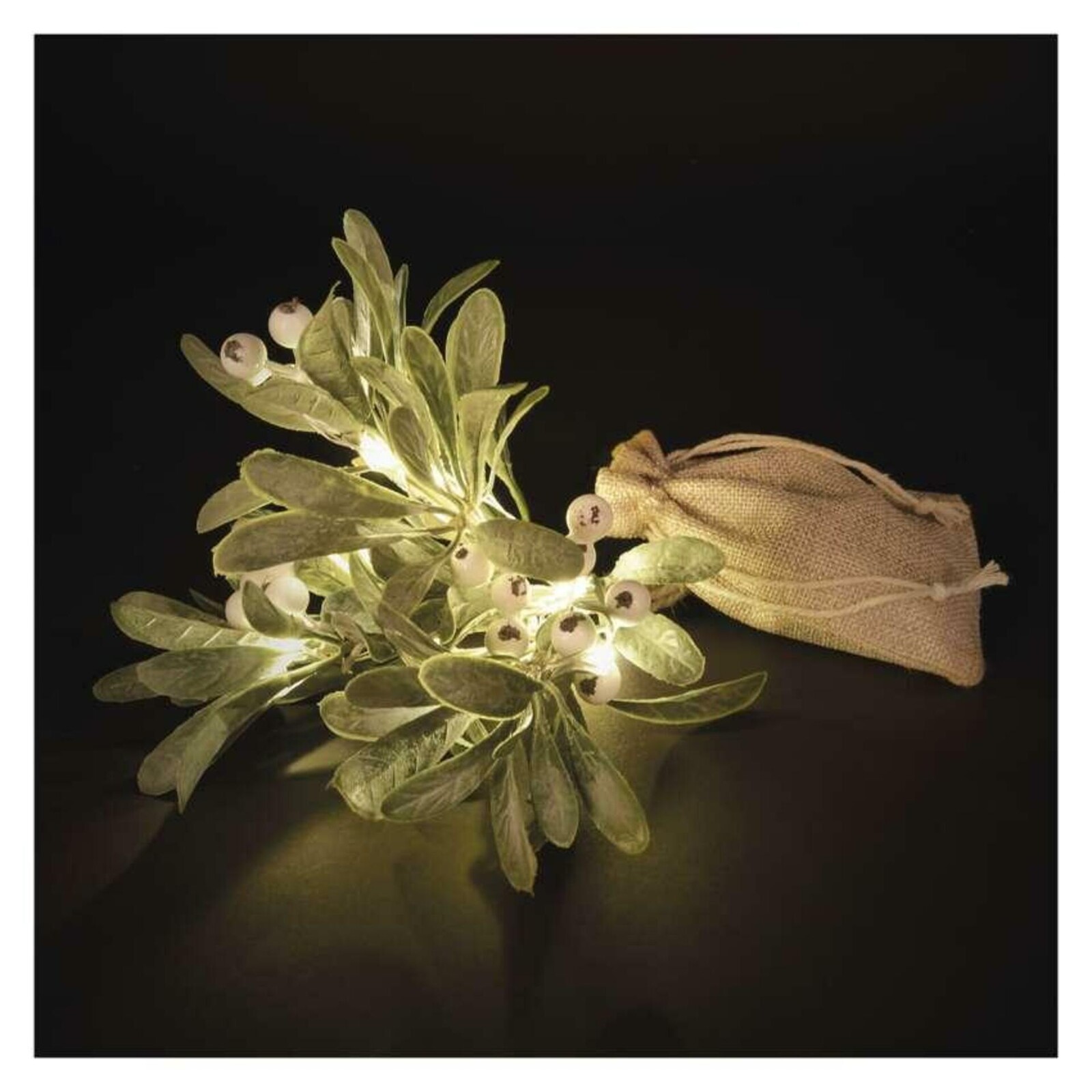 EMOS LED dekorace - větvička jmelí, 2x AA, teplá bílá, časovač DCTW29