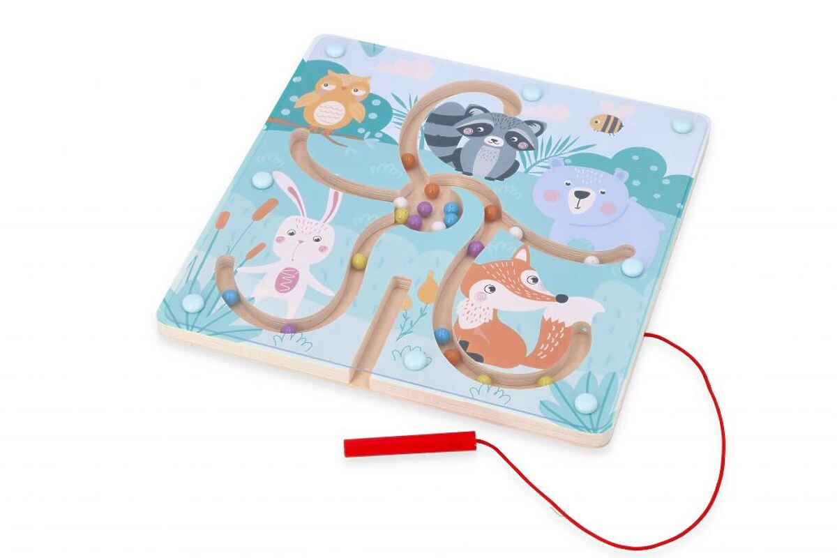 Magnetické bludiště les