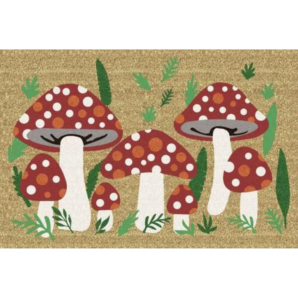 XXXL KOKOSOVÁ ROHOŽKA, 40/60 cm