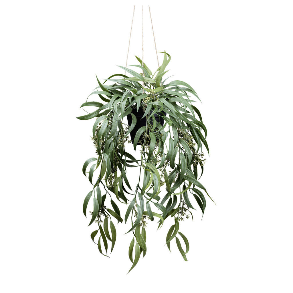 XXXL UMĚLÁ ROSTLINA eukalyptus/blahovičník 65 cm