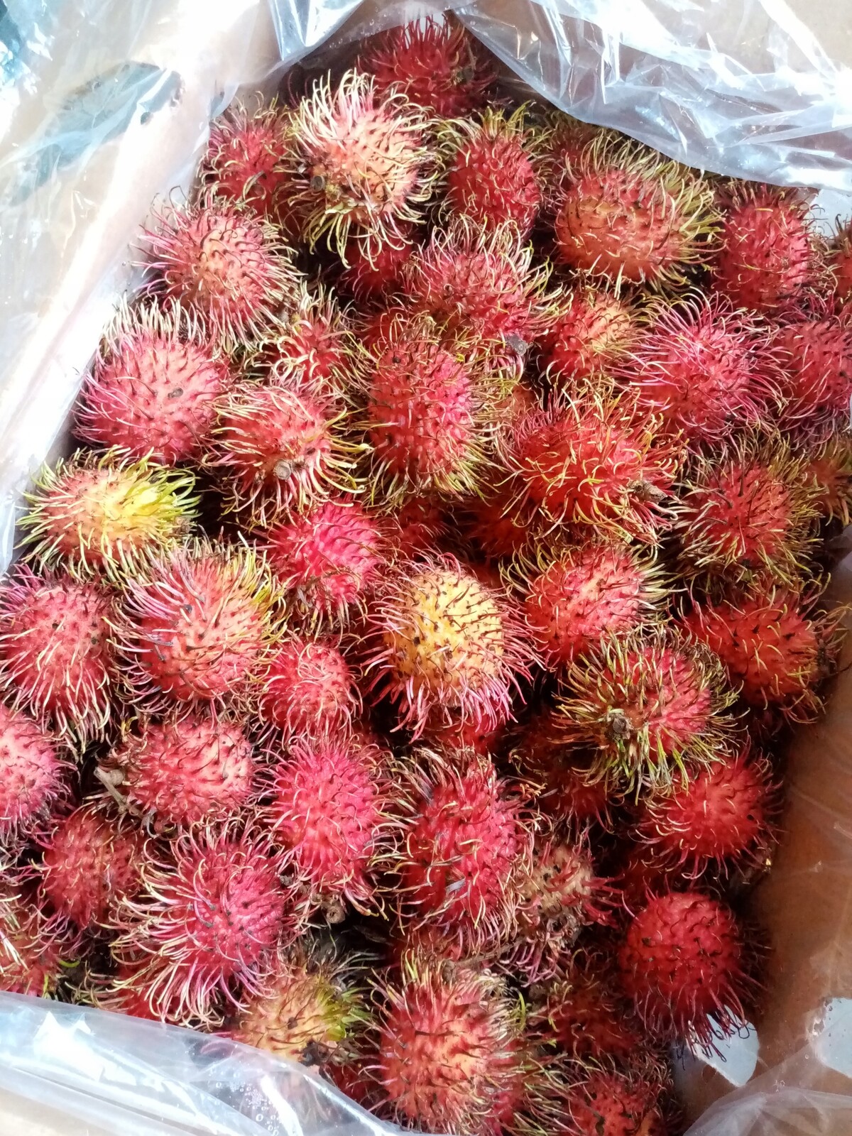 Rambutan Čerstvý Lahodný (jako liči) 250 g