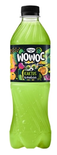 Hortex Ovocný nápoj Kaktus & Meloun 12 x 500 ml