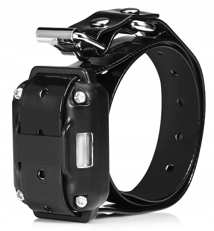 Dodatečný elektrický obojek pro psa, výcvikový obojek, pásek, návleky, žárovka